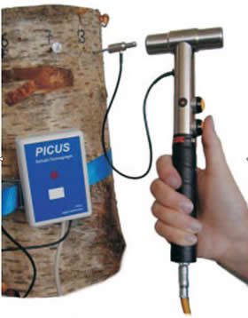 Picus Lite